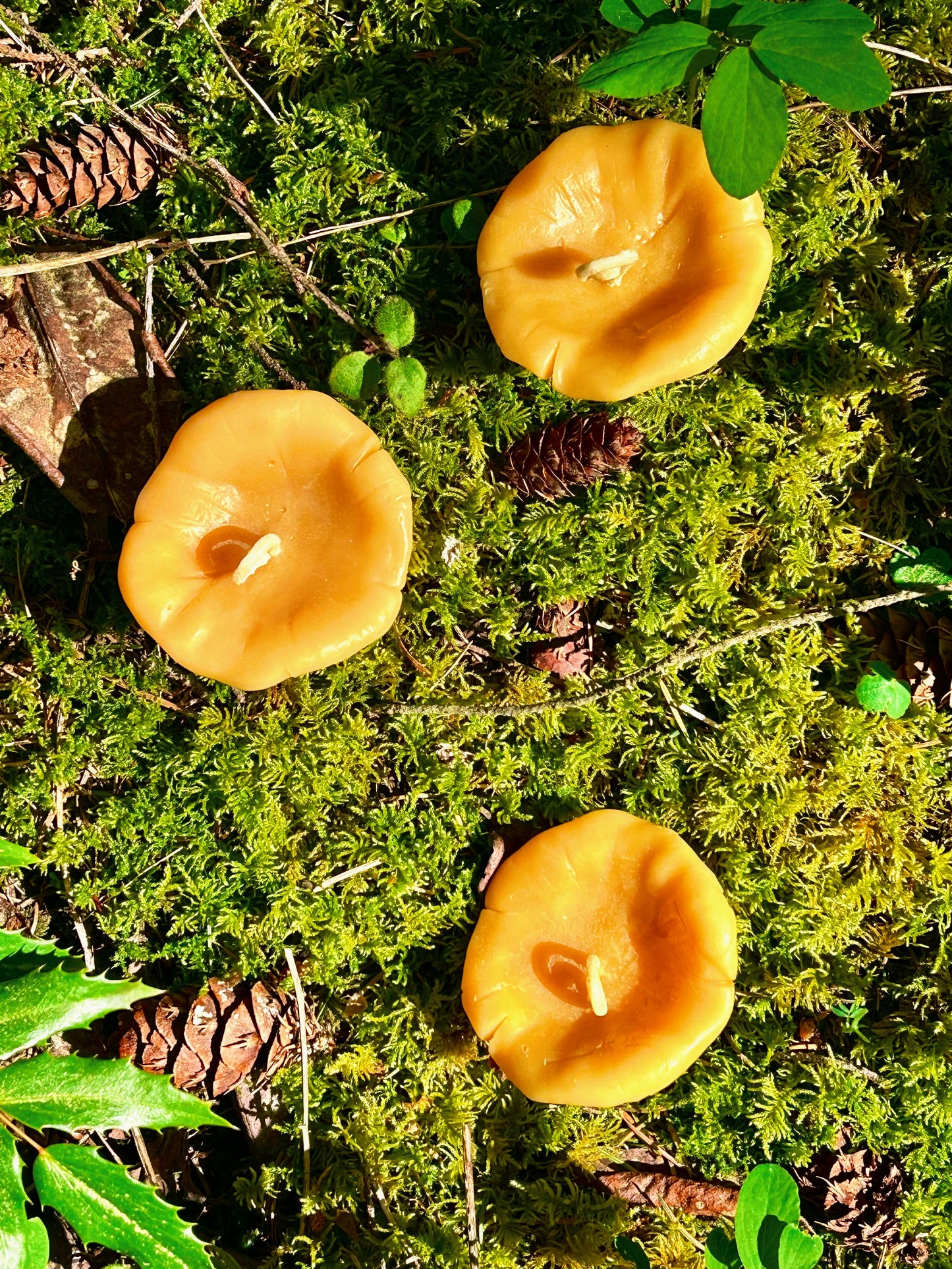 Mushroom Friend Chanterelle Beeswax Candle
